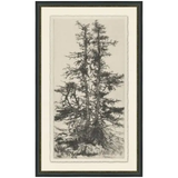 Tree Tops 3 Wall Art